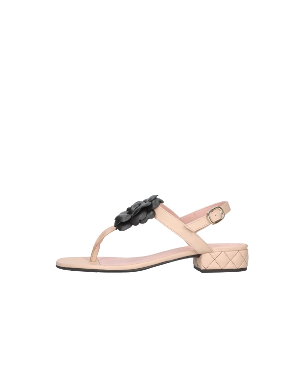 PRETTY BALLERINES 52269