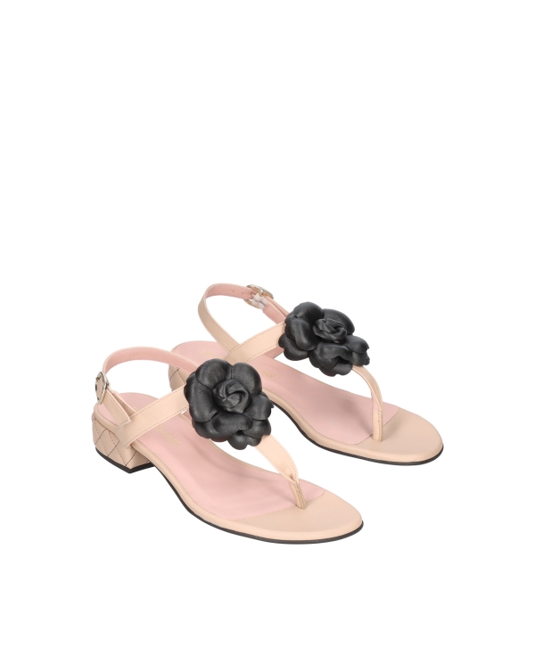 PRETTY BALLERINAS 52269